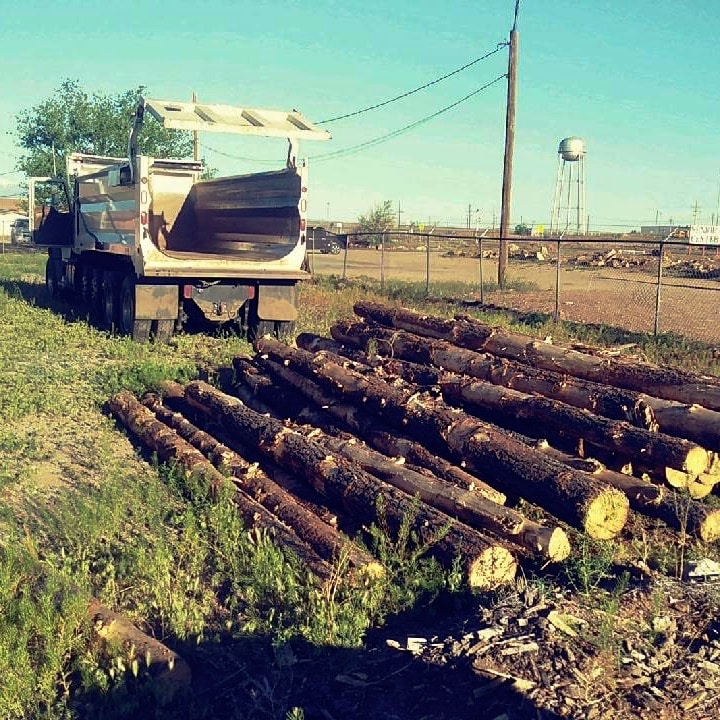 Linked image: Dump truck delivers wood to the Hopi and Navajo reservations during spring 2020. Link will take you to the full story.