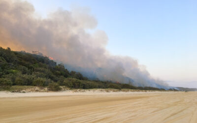 Scientists Discover Fire Records Embedded Within Sand Dunes