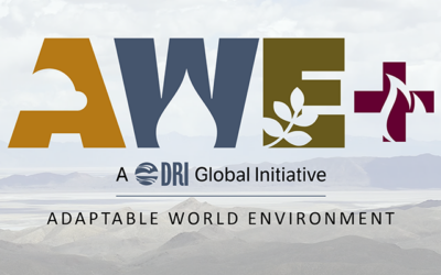 DRI to Host AWE+ Wildfire Summit