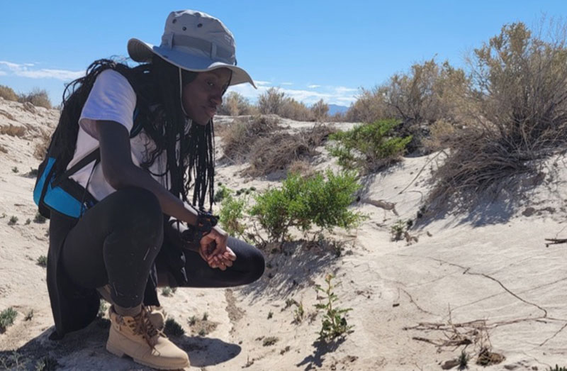 DRI interns join the search for elusive desert tortoises in Tule ...