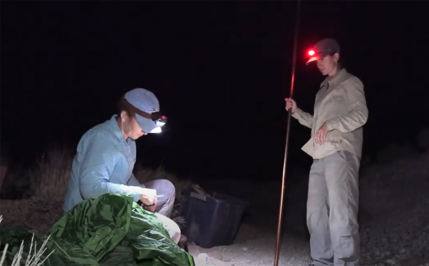 Two researchers at night with head lamps collecting soil samples. 