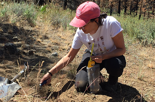 Photo of researcher in the field collecting soil sample.