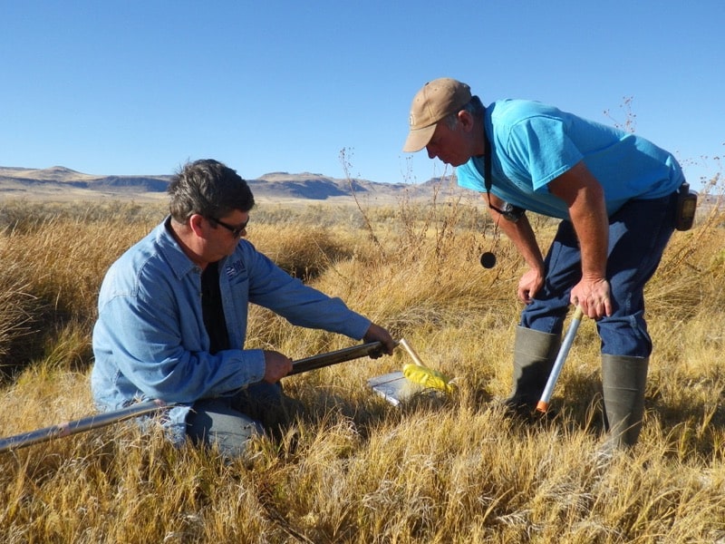 scientists out in the desert look for artifacts