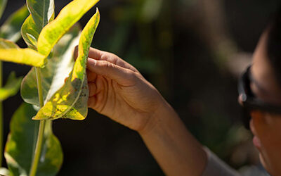 Donors Fund Endowment that Transforms Big Ideas into Groundbreaking Environmental Solutions and Offer a Dollar-for-Dollar Match up to $2 million