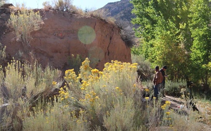 Two archaeologists in a sunlit meadow with plantlife and rock formations.