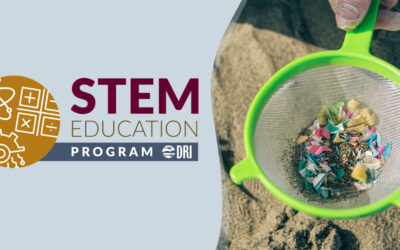 Fall Professional Development Trainings: Microplastics