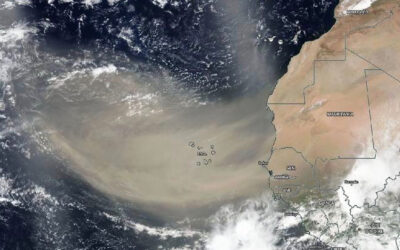 Featured Research: DRI scientists analyze origins of the Saharan dust plume