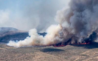 DRI Ice Core Lab Data Shows Magnitude of Historic Fire Activity in Southern Hemisphere