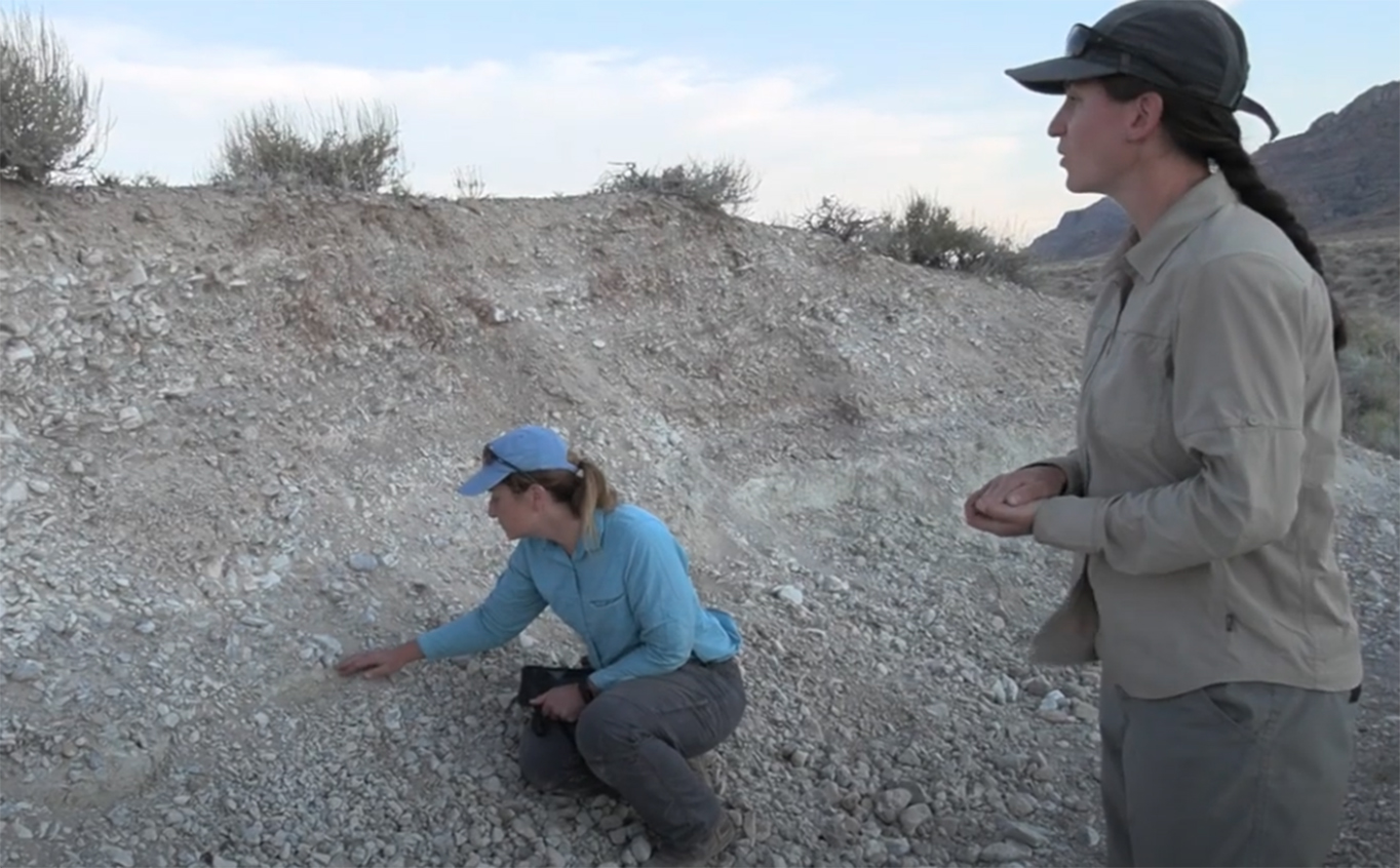 Two researchers in the desert looking at the rocks on a hillside. 