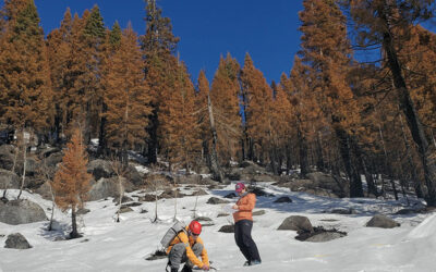 Wildfires Are Increasingly Burning California’s Snowy Landscapes and Colliding with Winter Droughts to Shrink California’s Snowpack