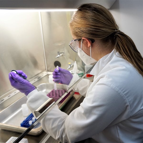 Natasha Sushenko processes samples using a biosafety cabinet in the Environmental Microbiology Lab at the Desert Research Institute in December of 2020 during a SARS-CoV-2 wastewater monitoring study.