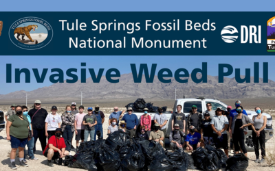 Invasive Weed Pulling Event at Tule Springs Fossil Beds National Monument