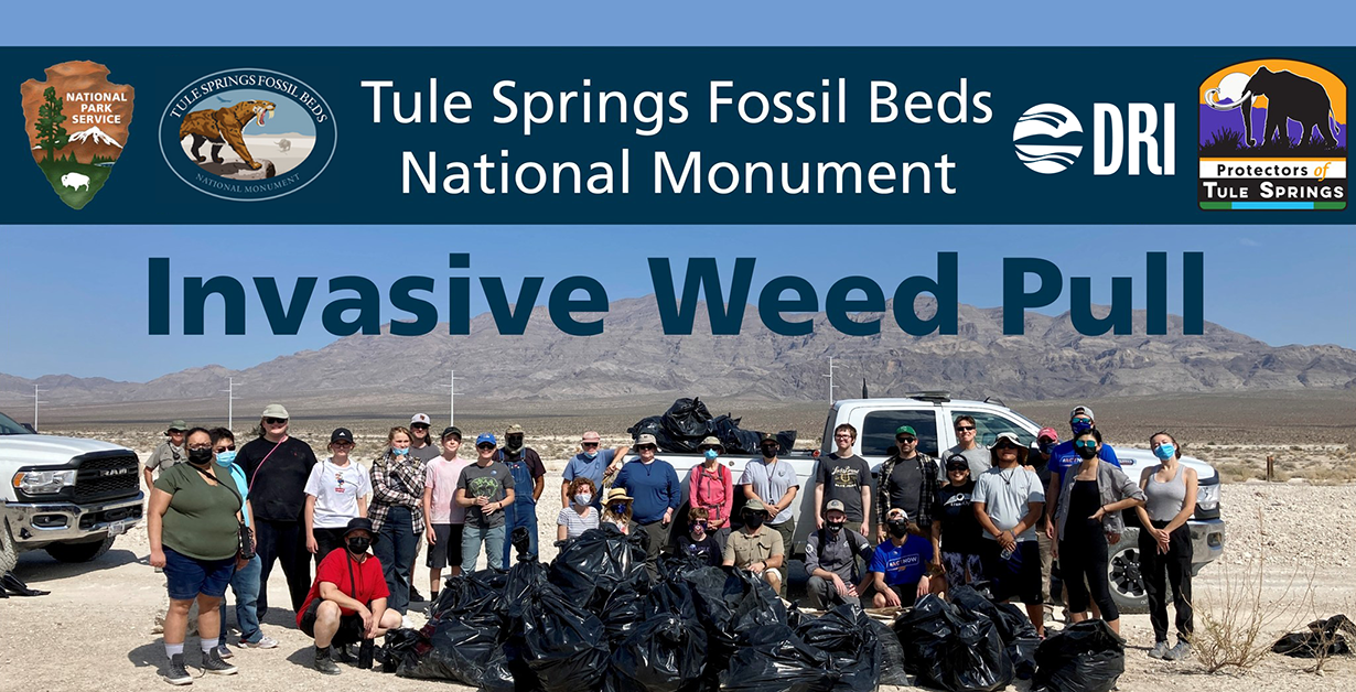 Tule Springs Fossil Beds National Monument Invasive Weed Pull