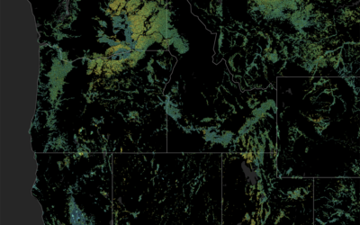 A New, Rigorous Assessment of OpenET Accuracy for Supporting Satellite-Based Water Management 