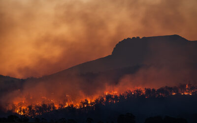 Climate Change Will Increase Wildfire Risk and Lengthen Fire Seasons, Study Confirms 