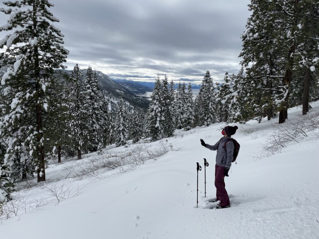 Skier on a mountain covered in snow surrounded by pine trees.