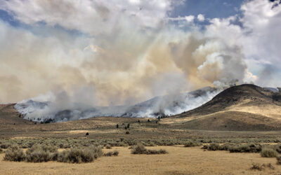 DRI Student Interns Explore Northern Nevada’s Natural Hazards