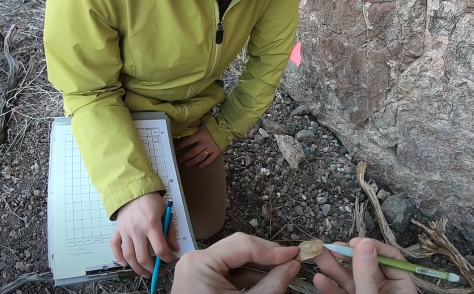 Archaeologists collecting data in the meadow.